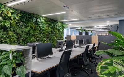 How a Strategic Office Fit-Out Can Revolutionize Your Workplace